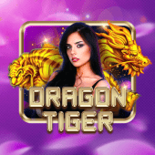 Dragon Tiger Ph Bingo live casino